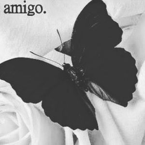 Meet your Posher, Abigail